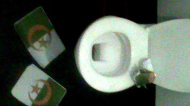 Libye : les révolutionnaires libyens portent atteinte à l’emblème national algérien