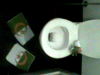 Libye : les révolutionnaires libyens portent atteinte à l’emblème national algérien