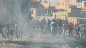 نقابة  العمال  المهنيين  تندد  بالتخريب  وتطالب  بتدخل  الحكومة  لكبح  الأسعار