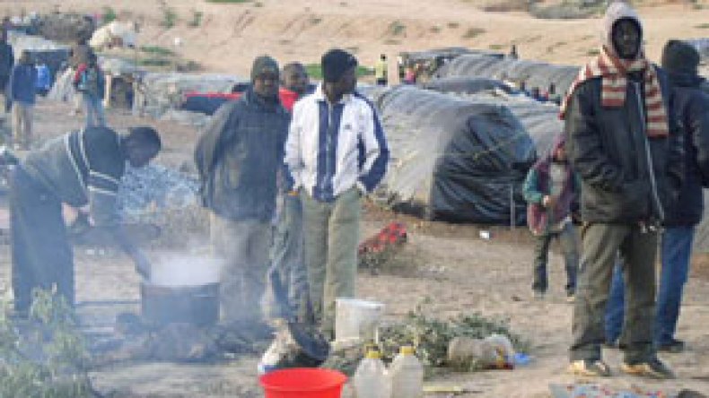 “حراڤة”  أفارقة يسلبون جزائريين أموالا بالملايير