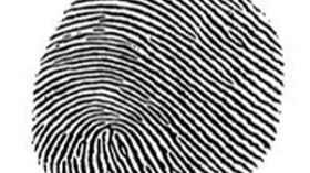 البصمات‭ ‬تكشف‭ ‬سارق‭ ‬منزل‭ ‬الجنرال‭ ‬بالأغواط