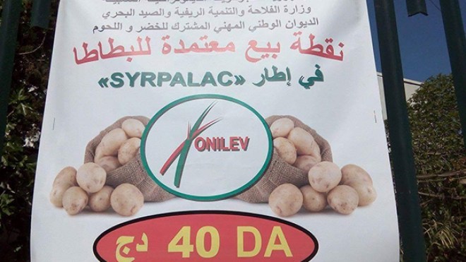 أسعار الخضر تدخل بورصة الإنتخابات