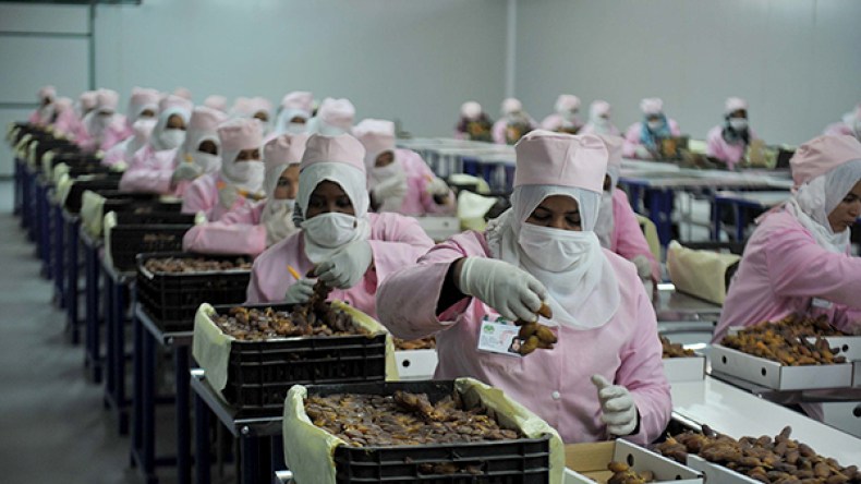 هذه أسباب رفض التمور الجزائرية في أوروبا