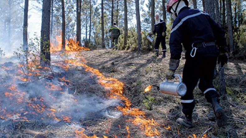 حرائق بني صالح جريمة مفتعلة ونحن نتابع الفاعلين قضائيا