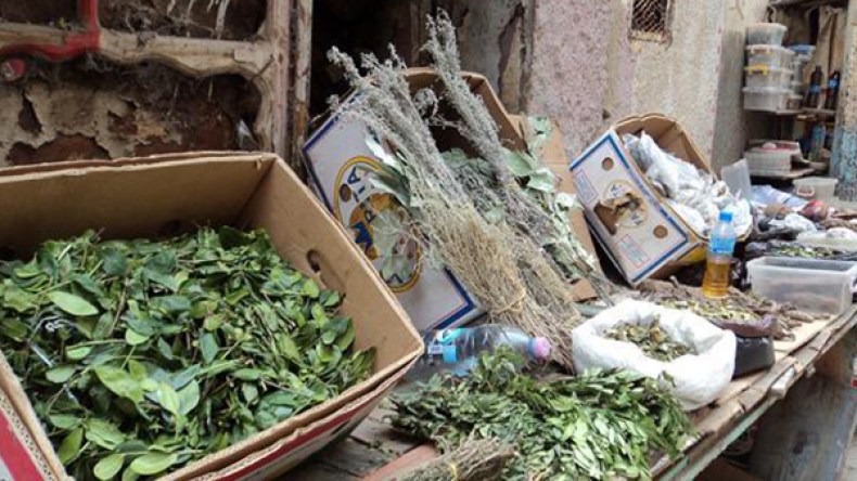 “التقوفت” و”القطف” و”الشيح” أعشاب تستقطب مرضى السرطان وتعرضهم للموت