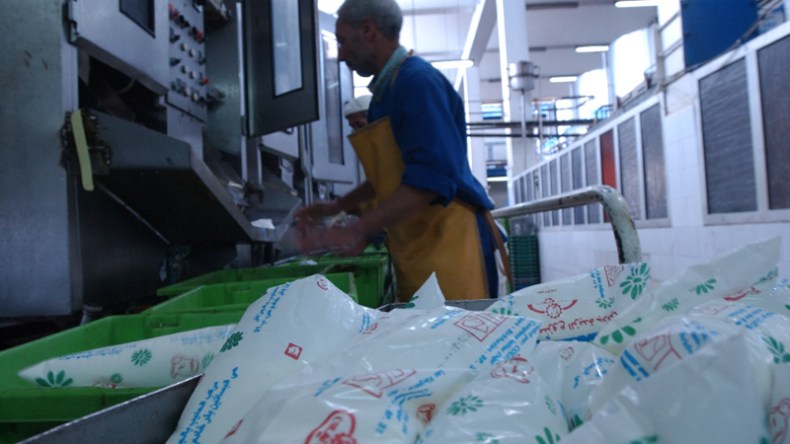 مضاعفة إنتاج الحليب لمواجهة الندرة خلال العيد