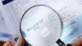 السجلات التجارية وحسابات الشركات تحت رقابة ديوان الإحصاء