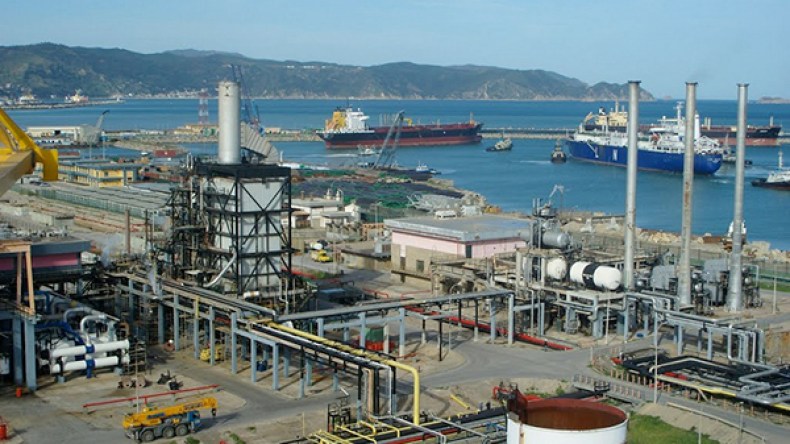 الجزائر ستكون من أهم الدول المصدرة للأمونياك واللوريا