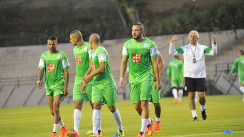 “الفيديو” سلاح خاليلوزيتش للقضاء على الأخطاء الدفاعية