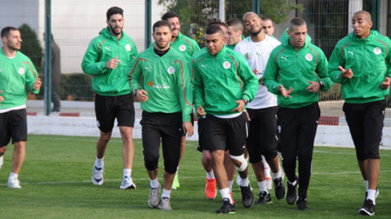 “الخضر” في أقوى اختبار قبل مواجهة نسور قرطاج