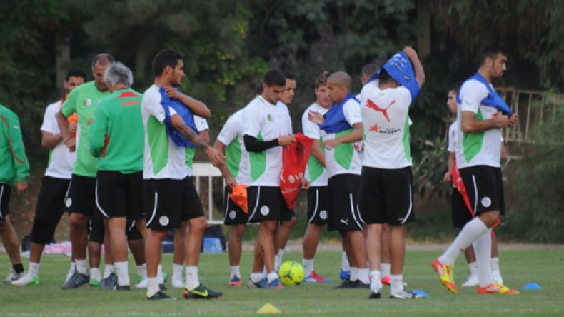 تربص الخضر ينطلق  وبلفوضيل، فيغولي وغيلاس قد يتأخرون