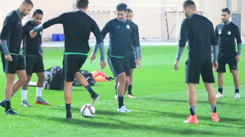 بونجاح: المنتخب فخر وليس للتنافس على المناصب