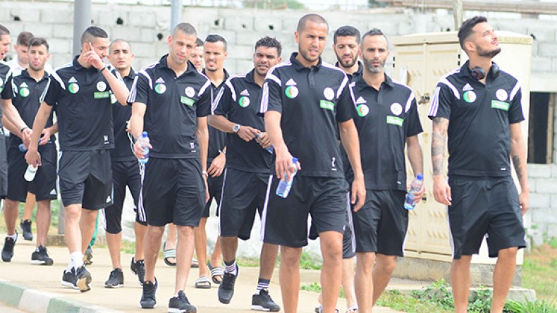 حلم ربع قرن يبدأ اليوم