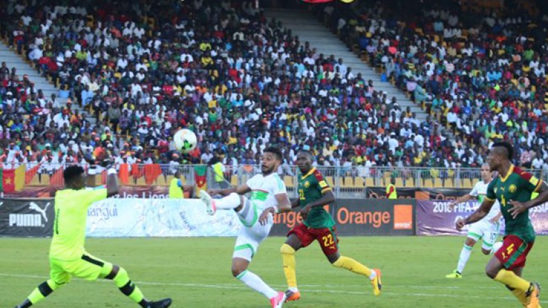 “الخضر” استعدوا للكاميرون بـ”الشطيح” و”الرديح”..