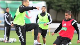 “صغار المحاربين” يتربصون بسويسرا