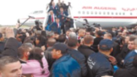 استقبال رسمي وجماهيري كبير لأبطال الجزائر