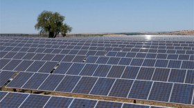 الطاقة المتجددة محور أعمال بين المتعاملين الجزائريين والبرتغاليين