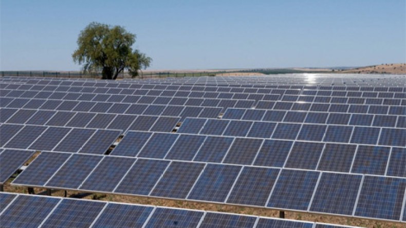 الطاقة المتجددة محور أعمال بين المتعاملين الجزائريين والبرتغاليين