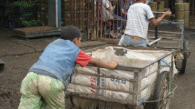 عائلات تقتات من عائدات البغال وأخرى يقتلها الحر بالجنوب