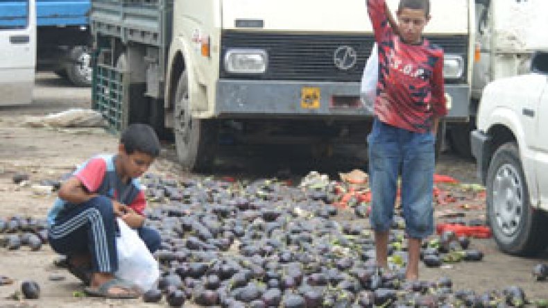 قرابة مليوني طفل عامل و36 ألف طفل متشرد ومليون ضحية المأساة