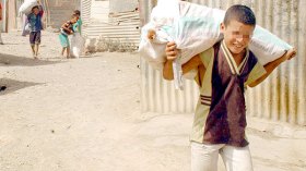 13 مرسوما تنفيذيا يجمّد قانون حماية الطفولة في الجزائر