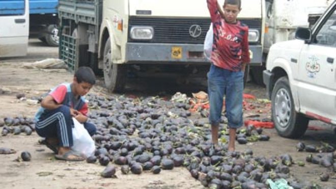 الجزائر ضمن قائمة الدول المهددة بالجوع وارتفاع أسعار الغذاء