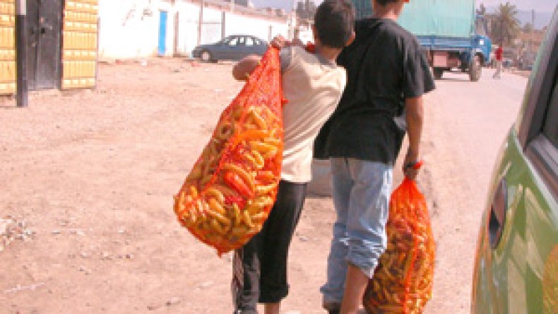 قرابة مليون طفل خارج مقاعد الدراسة