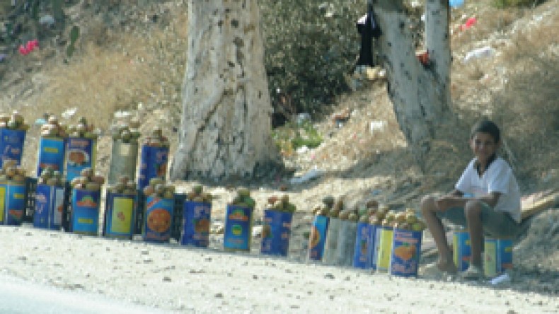 أشواك‮ ‬الهندي‮ ‬وجمر‮ ‬الذرة‮ ‬لمواجهة‮ ‬الدخول‮ ‬الاجتماعي‮!‬؟