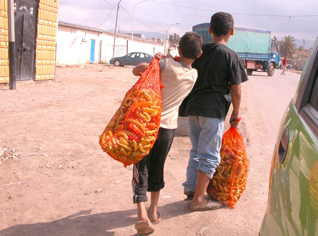 More than 1 million children do not go to school in Algeria