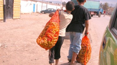 Algeria: “Savage exploitation of children, they work hard in exchange for 100 DA per day”