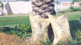 ارتفاع‭ ‬استهلاك‭ ‬الأسمدة‭ ‬بالجزائر‭ ‬إلى‭ ‬331‭ ‬ألف‭ ‬طن‭ ‬في‭ ‬2010