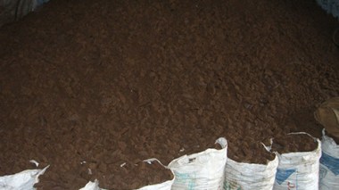 Algeria Fertilizer Exports: The First Source Of Hard Currency Outside Hydrocarbons