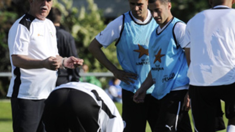 الأمريكان  أقوياء،،  والخضر  مستعدون  لرفع  التحدي