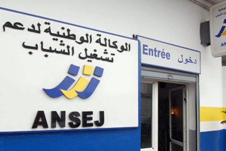 Debts of ANSEJ failed projects to be restructured, no omission will be applied