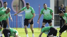 تدريبات الخضر في جنوب أفريقيا1