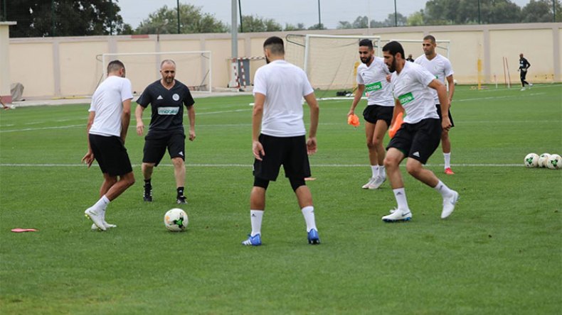 نقص الفعالية والإرهاق البدني يخيفان بلماضي قبل الكان