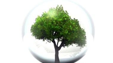 Riche programme pour la célébration de la Journée mondiale de l’environnement