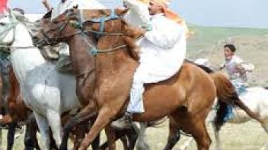 Sétif: 1er Festival régional des traditions équestres