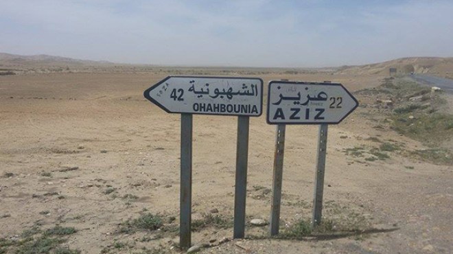أسراب من الجراد تكتسح المحاصيل الزراعية بالمدية