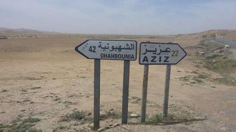 أسراب من الجراد تكتسح المحاصيل الزراعية بالمدية