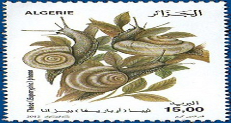 Algérie Poste émet deux timbres-poste consacrés aux “Escargots”