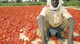 موريتانيا تخصص 2.8 مليون يورو لمحاربة العبودية