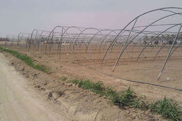 Pour booster l’agriculture: l’Algérie fait appel aux Espagnols!