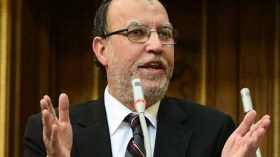 العريان: “المظاهرات الحاشدة دليل أن الشعب يقود ثورته”