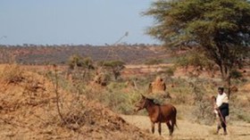 Ethiopia: 20,000 flee Moyale clashes – Red Cross