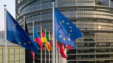 This Is How European Parliament Adopted Its Resolution On Algeria