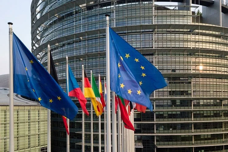 This Is How European Parliament Adopted Its Resolution On Algeria