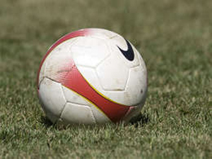 Soccer-Italy interested in making bid for Euro 2016