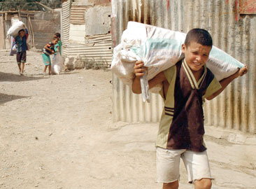 Exploitation sauvage des enfants: ils travaillent dur en contrepartie de 100 DA/jour