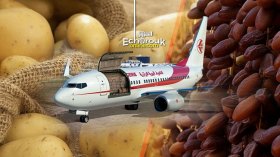 رحلات جوية نحو فرنسا لتصدير التمور.. وإلى الخليج لنقل البطاطا والخضر